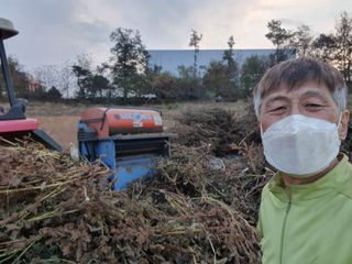 마영태님의 들깨 · 자유게시판 작성글 사진