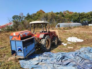 마영태님의 들깨 · 자유게시판 작성글 사진