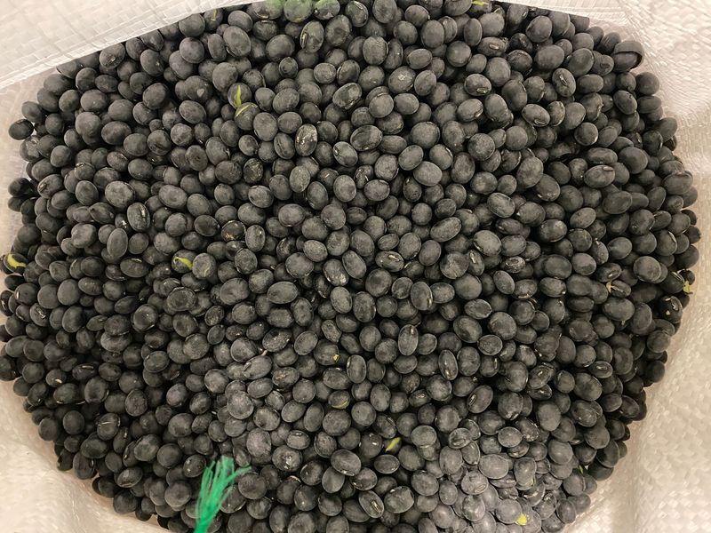 장터 상품 [서리태 새바람(경북5호) 1kg] 썸네일