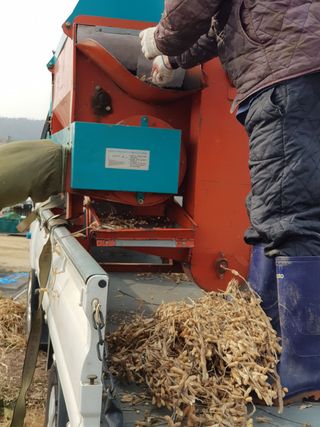 윤현옥님의 콩 · 자유게시판 작성글 사진