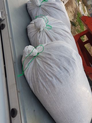 윤현옥님의 콩 · 자유게시판 작성글 사진