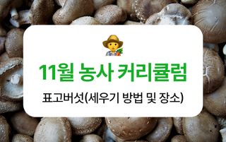 버섯 농사도우미님의 버섯 · 생장기 농작업 작성글 사진