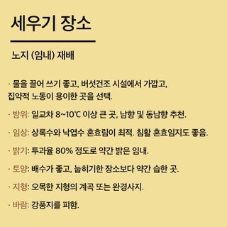 버섯 농사도우미님의 버섯 · 생장기 농작업 작성글 사진