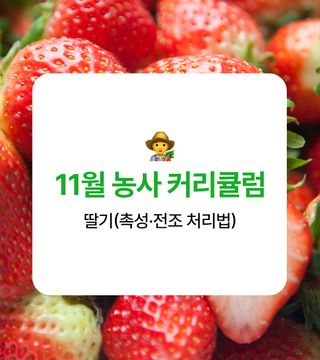 딸기 농사도우미님의 딸기 · 온도 관리 작성글 사진