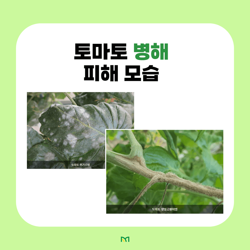 알 수 없음님의 농사정보 썸네일