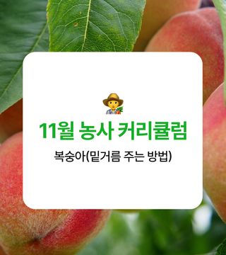 ๋ณต์ญ์ ๋์ฌ๋์ฐ๋ฏธ๋์ ๋ณต์ญ์ ยท ๋์ฌ๊ธธ์ก์ด ์์ฑ๊ธ ์ฌ์ง