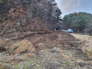 박병철 님의 옥수수 · 자유게시판 작성글 사진