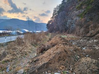 박병철 님의 옥수수 · 자유게시판 작성글 사진