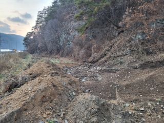 박병철 님의 옥수수 · 자유게시판 작성글 사진