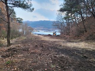 박병철 님의 옥수수 · 자유게시판 작성글 사진