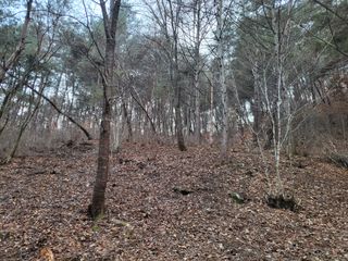 박병철 님의 옥수수 · 자유게시판 작성글 사진