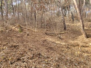 박병철 님의 옥수수 · 자유게시판 작성글 사진