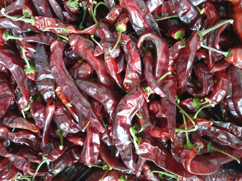 장터 상품 [건고추 한근(600g) 🌶수확횟수:네번째&다섯번째] 썸네일