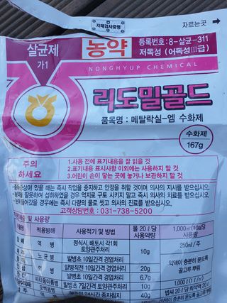 MTB님의 배추 · 병해충상담 작성글 사진