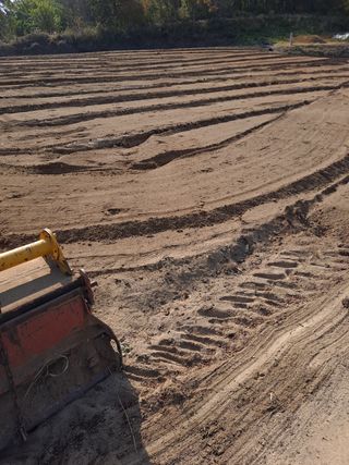 YK님의 마늘 · 자연재해•동물피해 작성글 사진
