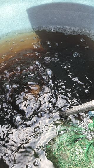 알 수 없음님의 고추 · 토양준비 작성글 사진