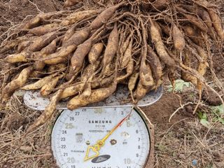 이창신님의 작성글 사진