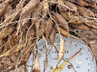 이창신님의 작성글 사진