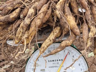 이창신님의 작성글 사진