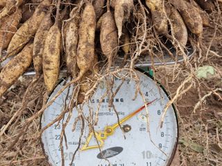 이창신님의 작성글 사진