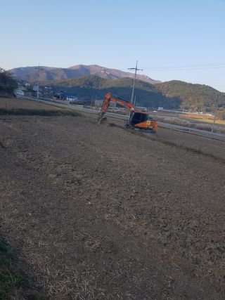 국가대표님의 벼 · 자유게시판 작성글 사진