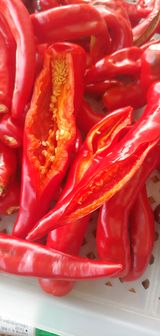 팜모닝 고추·병해충상담 게시글 이미지