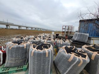 박영섭님의 콩 · 자유게시판 작성글 사진