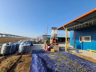 박영섭님의 콩 · 자유게시판 작성글 사진