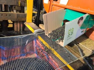 박영섭님의 콩 · 자유게시판 작성글 사진