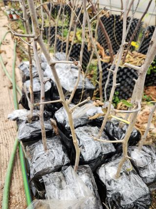 Preotu님의 기타작물 · 자유게시판 작성글 사진