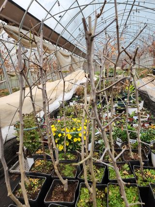 Preotu님의 기타작물 · 자유게시판 작성글 사진