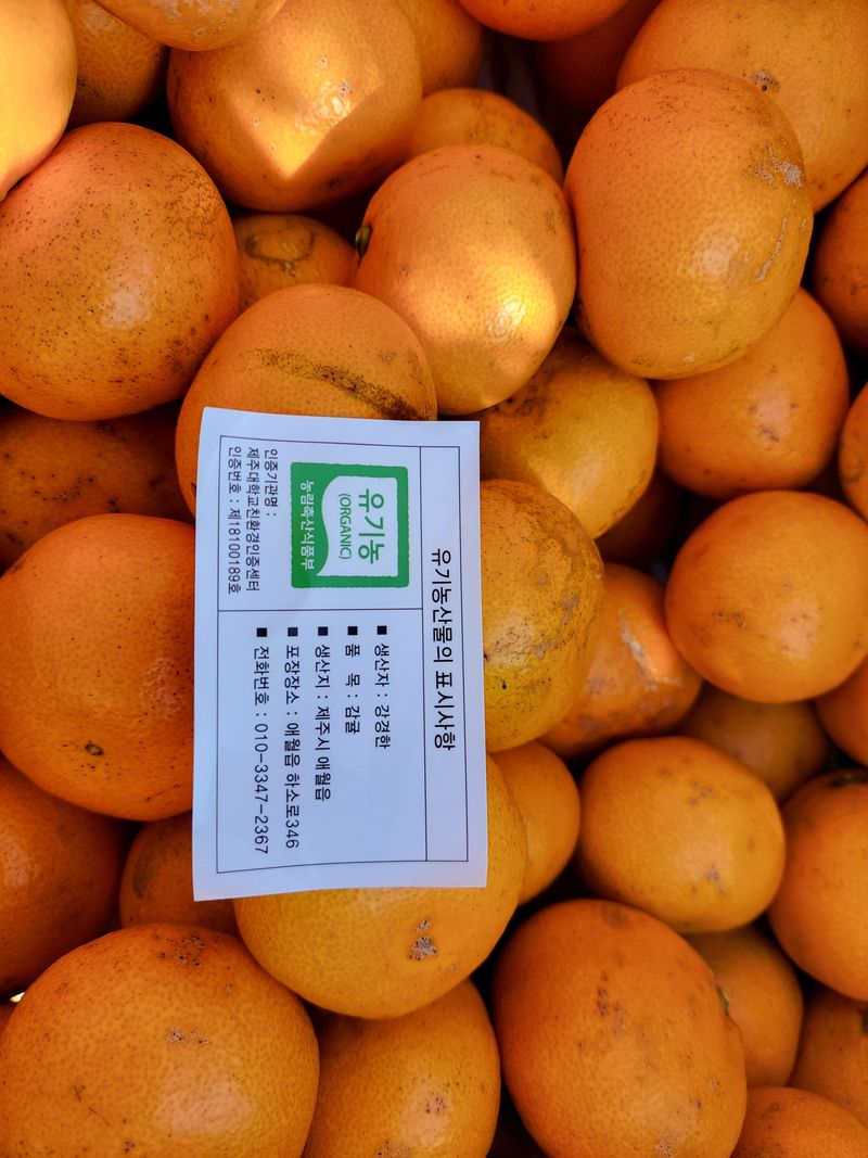 강경한님의 장터 판매 상품 [유기농인증귤 10kg (20박스요) ] 첨부 사진