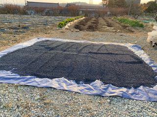 정두식님의 작성글 사진