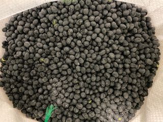 정두식님의 콩 · 자유게시판 작성글 사진