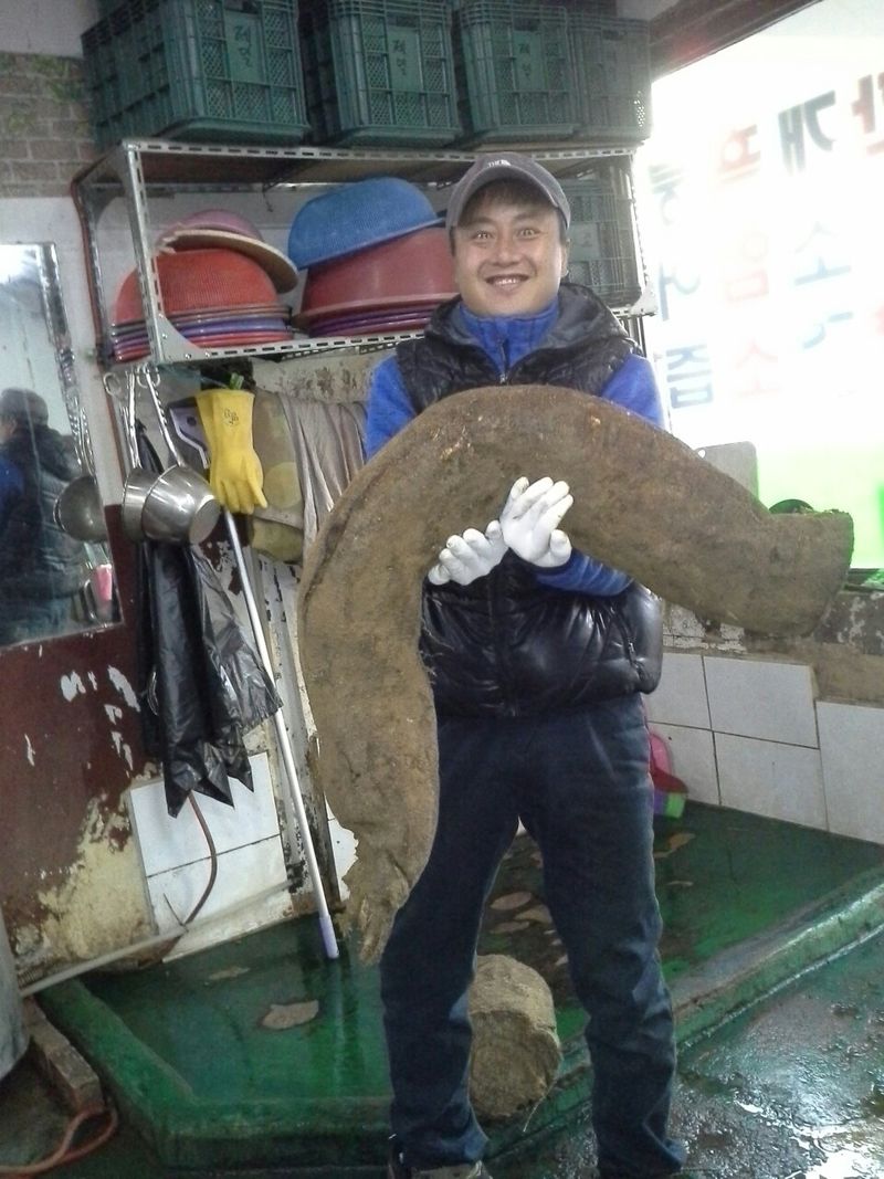 장터 상품 [50년된 칡 1박스 50봉] 썸네일