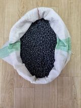 팜모닝 콩·자유게시판 게시글 이미지