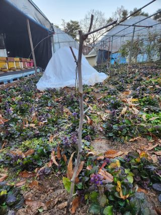 Preotu님의 기타작물 · 자유게시판 작성글 사진