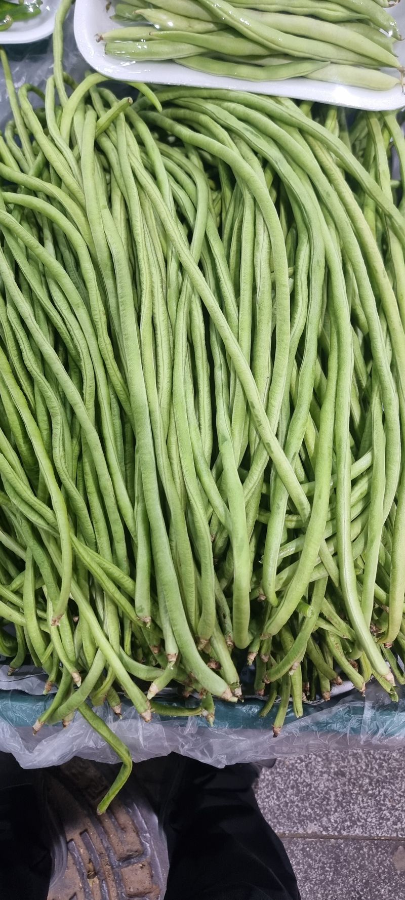 장터 상품 [30~50센치 길이의 줄콩 1k] 썸네일