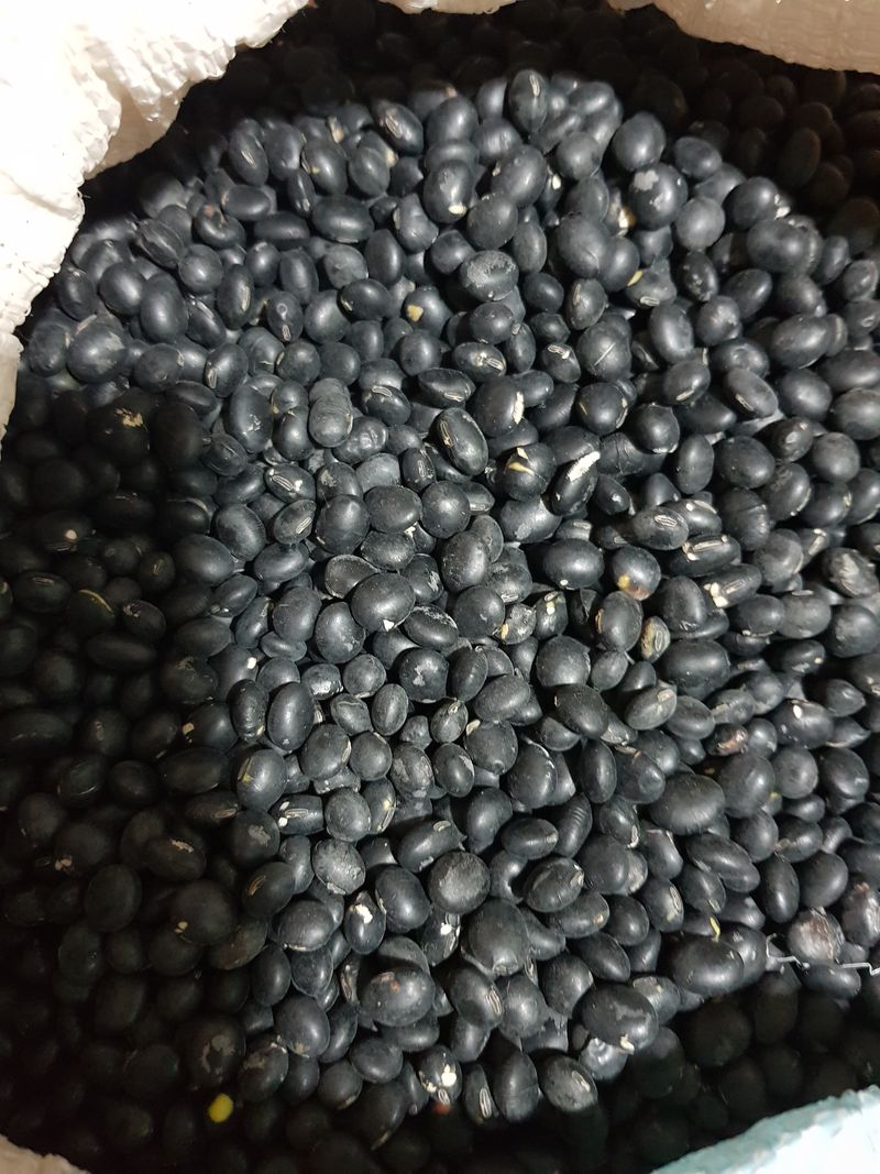 이갑순님의 장터 판매 상품 [서리태/고춧가루 (서리태) 1kg 5kg 8kg] 첨부 사진