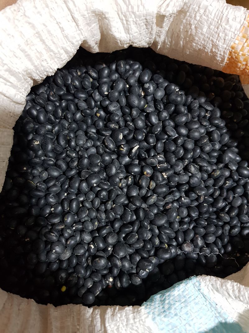 이갑순님의 장터 판매 상품 [서리태/고춧가루 (서리태) 1kg 5kg 8kg] 첨부 사진