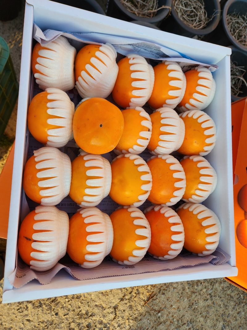 장터 상품 [친환경 무농약 발효유황 단감 5kg] 썸네일