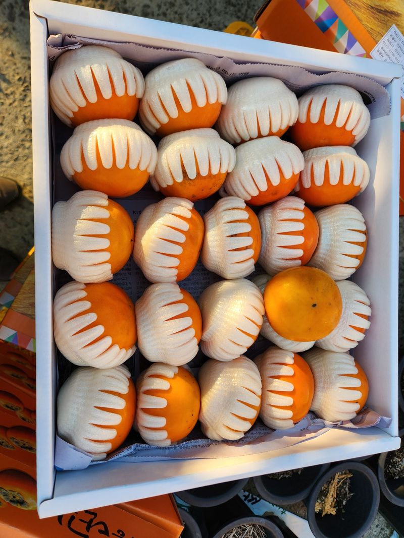 서종호(세동농장)팜모닝회원님의 장터 판매 상품 [친환경 무농약 발효유황 단감 5kg] 첨부 사진