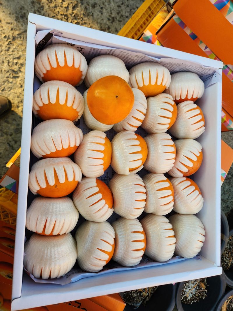 서종호(세동농장)팜모닝회원님의 장터 판매 상품 [친환경 무농약 발효유황 단감 5kg] 첨부 사진