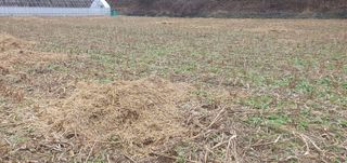 김동현님의 기타작물 · 자유게시판 작성글 사진