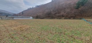 김동현님의 기타작물 · 자유게시판 작성글 사진