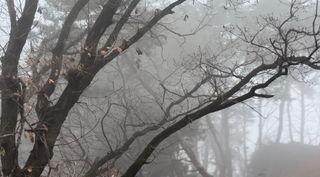 진상빈님의 기타작물 · 자유게시판 작성글 사진