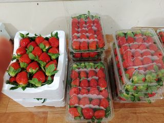 전성란님의 딸기 · 일상 작성글 사진