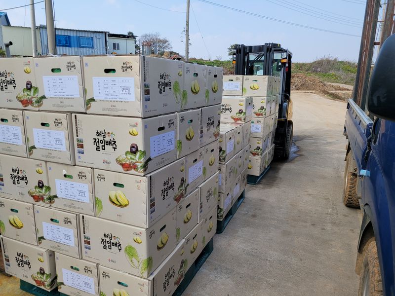 박수열님의 장터 판매 상품 [해남 절임배추] 첨부 사진