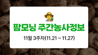 버섯 농사도우미님의 버섯 · 생장기 농작업 작성글 사진