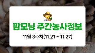 버섯 농사도우미님의 버섯 · 생장기 농작업 작성글 사진